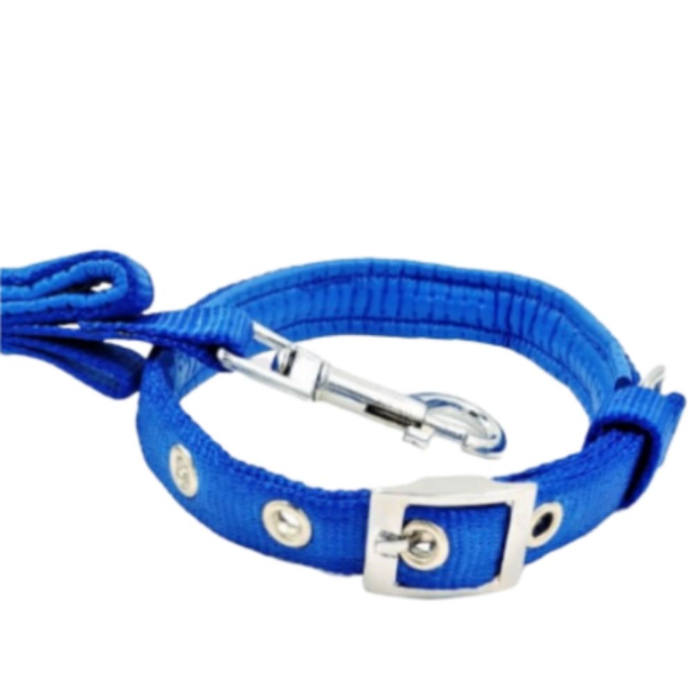 SUBLIME Adjustable Dog Collar, Blue Diamond Dots • Shop Online at