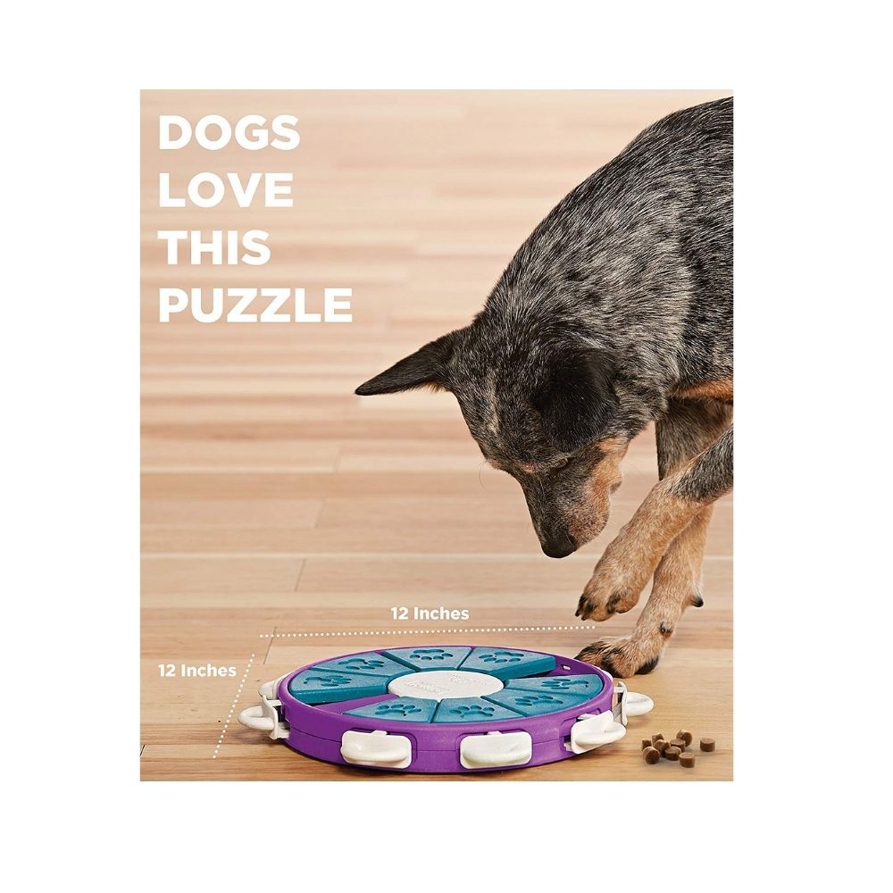 Outward HoundNina Ottosson Hide N' Slide Dog Puzzle For All Dogs - Lev –  Poochles India